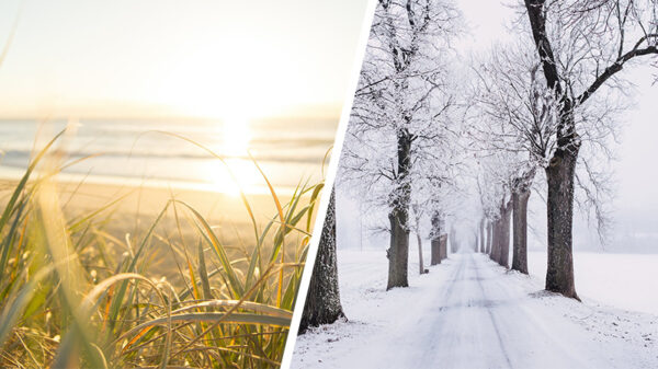 Wat is het lekkerste seizoen?