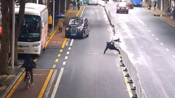 Faalhaas doet dappere poging tot over een hekje klimmen