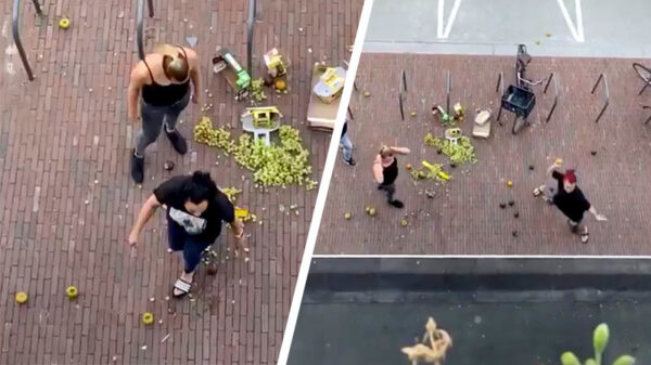Groep vrouwen sloopt Turkse supermarkt in Leidschendam